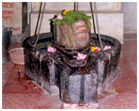 Siddha Peethas in Ashram